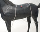 WAHLSTEN WATER TUBES FOR HORSES